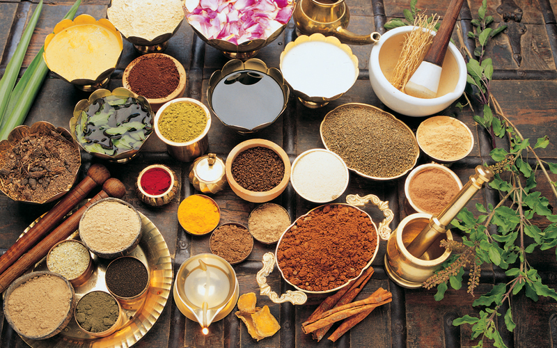 Prakriti Ayurveda Anna Nagar Branch — Clean Modern Ayurvedic Space